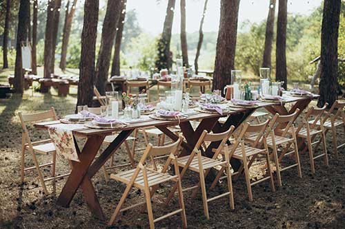 table set for breakfast in the woods