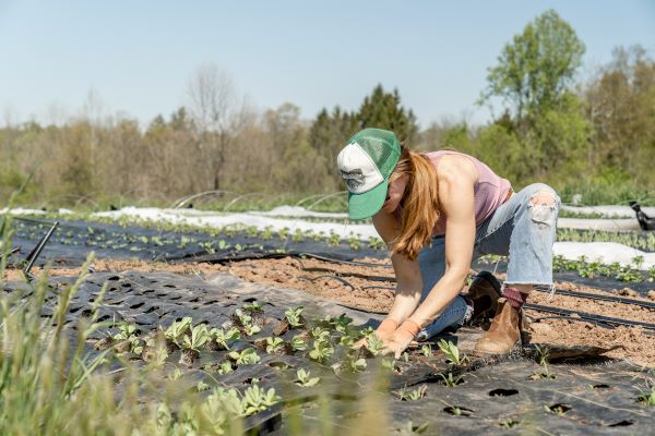 Woman tending to her crops.